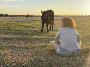 picture of girl sitting talking to black calf in pasture