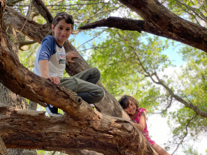 picture of boy and girl climbing trees